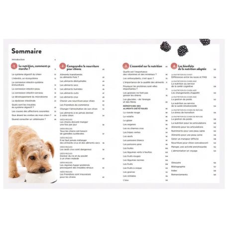 LA NUTRITION DES CHIENS - TOUT CE QUE VOUS DEVEZ SAVOIR POUR BIEN NOURRIR VOTRE CHIEN