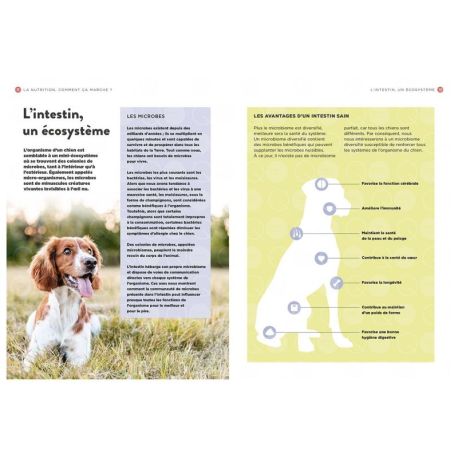 LA NUTRITION DES CHIENS - TOUT CE QUE VOUS DEVEZ SAVOIR POUR BIEN NOURRIR VOTRE CHIEN