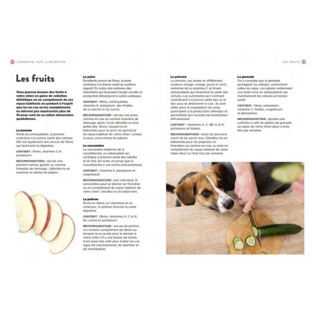 LA NUTRITION DES CHIENS - TOUT CE QUE VOUS DEVEZ SAVOIR POUR BIEN NOURRIR VOTRE CHIEN