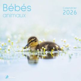 CALENDRIER BEBES ANIMAUX 2026