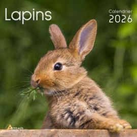 CALENDRIER LAPINS 2026