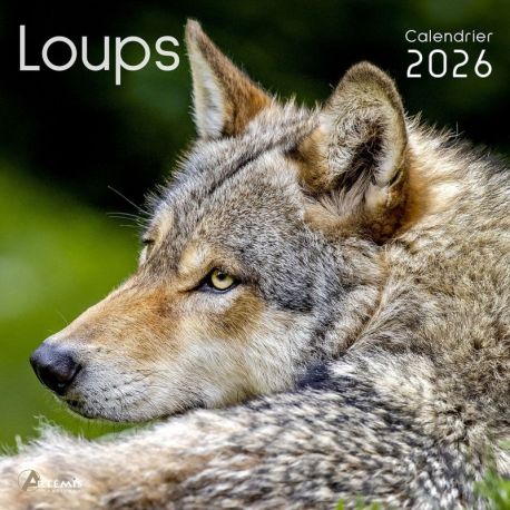 CALENDRIER LOUPS 2026