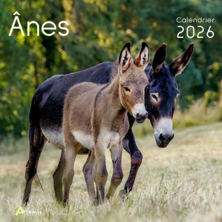 CALENDRIER ANES 2026