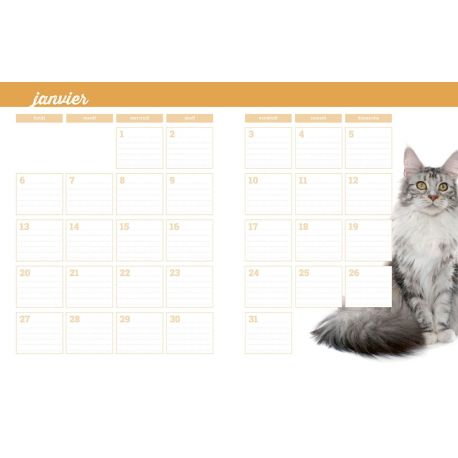 L'ALMANACH DU CHAT 2025