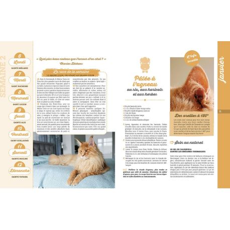 L'ALMANACH DU CHAT 2025