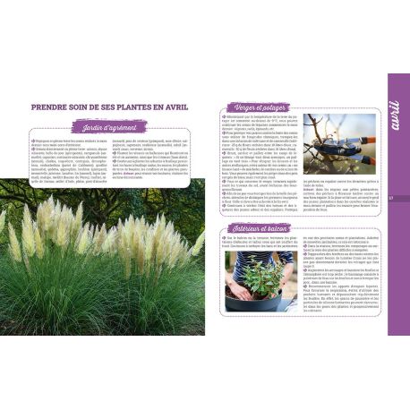 L'ALMANACH DU JARDINIER 2025