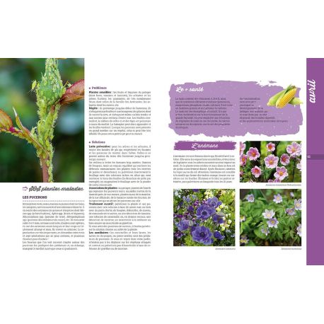L'ALMANACH DU JARDINIER 2025