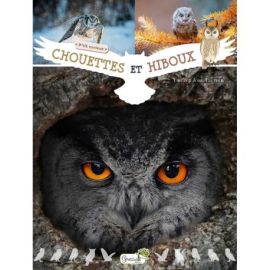 CHOUETTES ET HIBOUX
